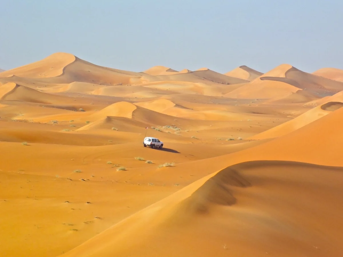 Wide view of desert dunes at dusk