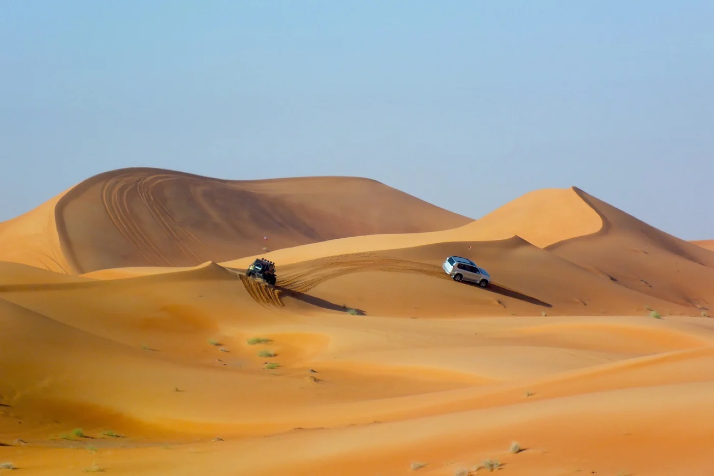 Vehicle tracks curving over the dunes of the Arabian Desert